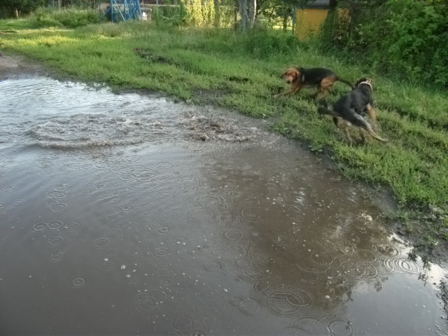 Porządnie nas ochlapały podczas takiej zabawy. Bardzo się uśmiałyśmy.