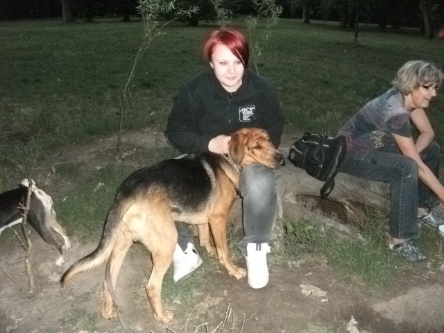 Dotarliśmy w końcu na psie pole, gdzie spotkaliśmy panią Agnieszkę.