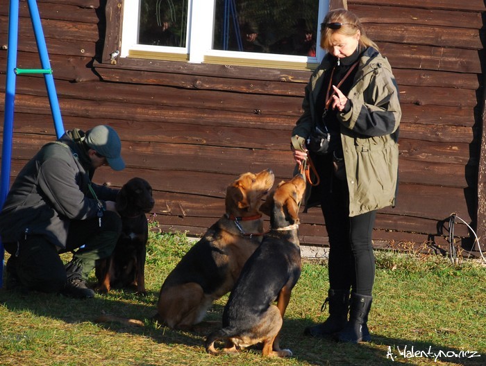 Przygotowanie do konkursu - Graf uzyskał łagodne ale męskie wsparcie a dziewczyny miały wykład...