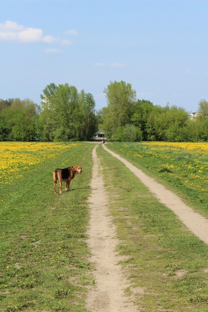 ja chcę do domu!!